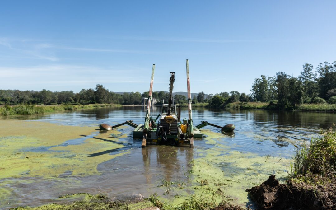 Weed, sediment dredging & dewatering