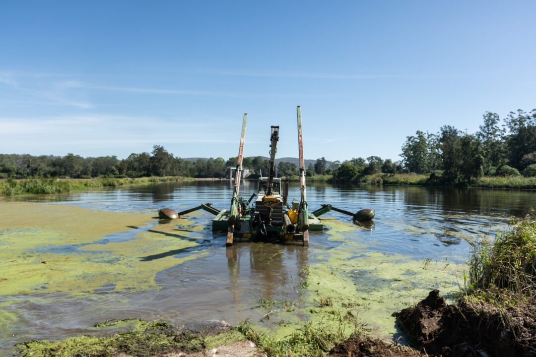 Weed, sediment dredging & dewatering